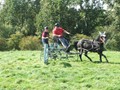 beelsby090912u