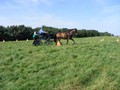 beelsby090912v