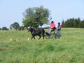 beelsby090912w