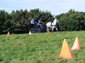beelsby090912x