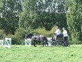 beelsby090912z