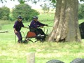 Twos company Trees a crowd