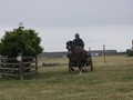 CarolW