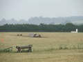 Danethorpe2