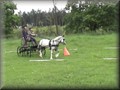 funday2012b