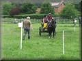 funday2012c