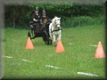 funday2012e