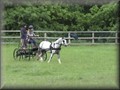 funday2012h