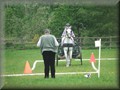 funday2012o