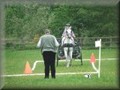 funday2012p