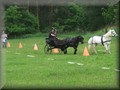 funday2012q