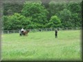 funday2012s
