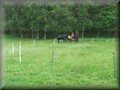 funday2012t