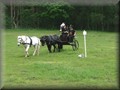 funday2012v