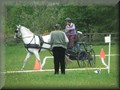 funday2012w