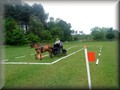 funday2012y