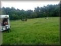 funday2012z
