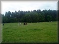 funday2012za