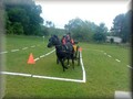 funday2012zc