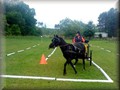funday2012zd