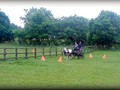 funday2012zg