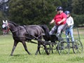 hackthorn290712f
