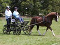 hackthorn290712j
