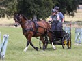 hackthorn290712n
