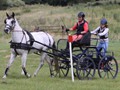 hackthorn290712o