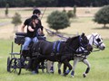 hackthorn290712p