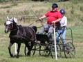 hackthorn290712s