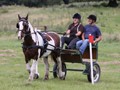 hackthorn290712w