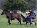 hackthorn290712y