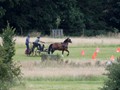 hackthorn290712z