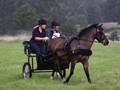 hackthorn290712Za