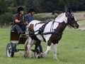 hackthorn290712zd