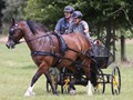 hackthorn290712zh