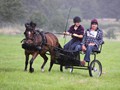 hackthorn290712zi