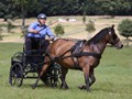 hackthorn290712zl