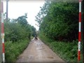lindseytrail2012d