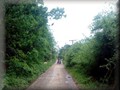 lindseytrail2012i