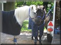 riseholme2009i