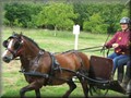 riseholme2009j