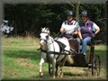 riseholme2009k