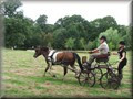 riseholme2009m