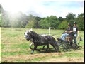 riseholme2009n
