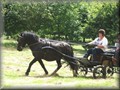 riseholme2009o