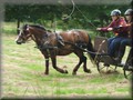 riseholme2009p