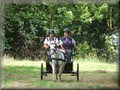 riseholme2009q