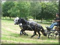 riseholme2009r